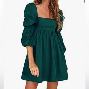 NWOT Puff Sleeve A Line Dress